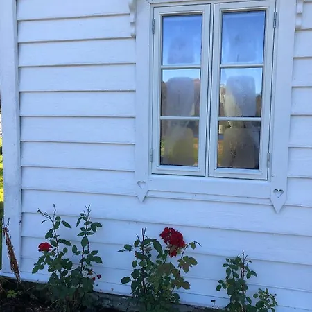 Eidegrend Boutique Eikelandsosen